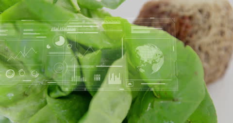Futuristic Digital Analytics Overlay on Plant Leaves