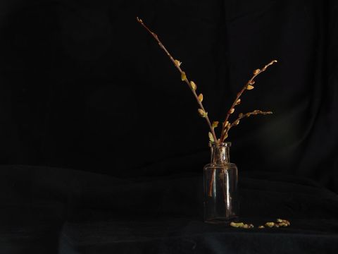 Stylish vase with branches on minimalist black background