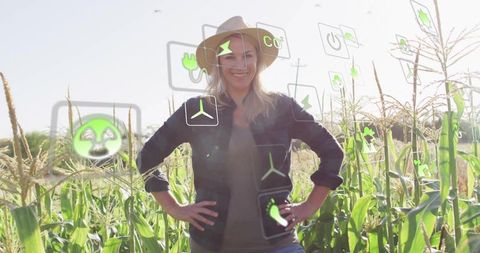 Embracing Renewable Agriculture: Woman in Sunlit Cornfield with Eco Icons
