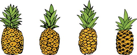 Colorful hand-drawn transparent pineapples