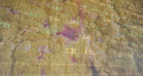 Finance Data Overlay on Sweet Pastry Close-Up Background