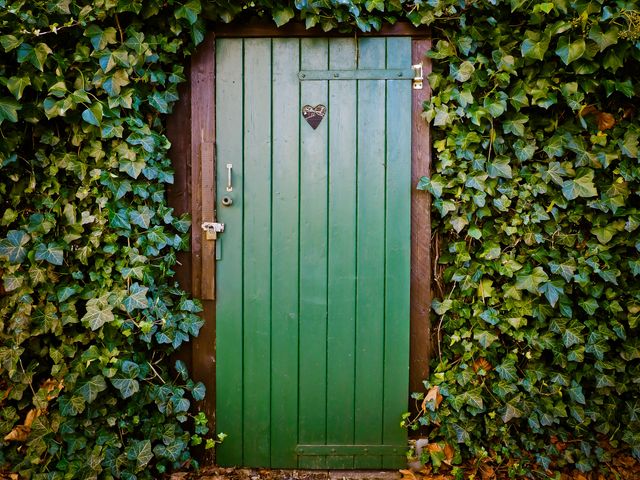 Green Wooden Door Surrounded by Dense Ivy - Download Free Stock Photos Pikwizard.com