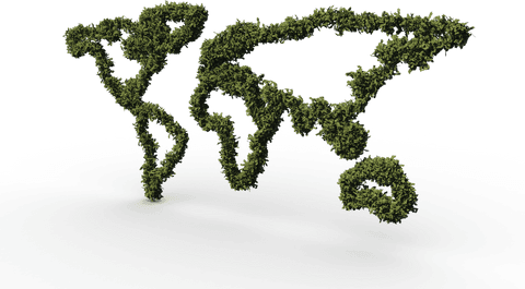 transparent world map outlines in foliage conceptual design - Download Free Stock Videos Pikwizard.com