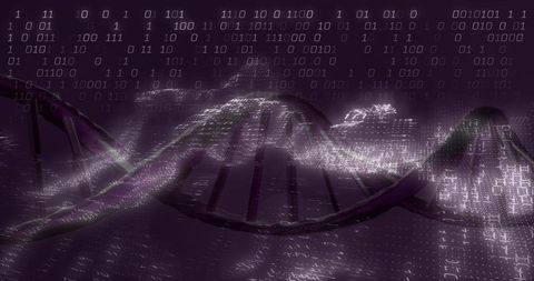 Undulating DNA Stream in Neon Purple Futuristic Genome Visualization with Binary Waves