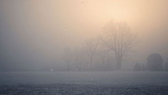 Snowflakes drifting through golden backlight over frosted meadow with silhouetted trees