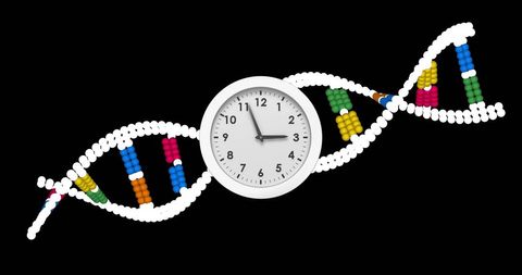 Clock intertwined with dna strand symbolizing genetic research