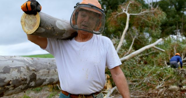 Forest Worker Carrying Log with Protective Gear - Download Free Stock Images Pikwizard.com