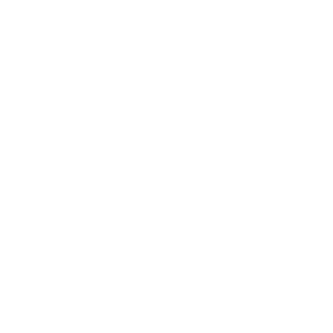 stylized white flowers pattern on transparent background - Download Free Stock Videos Pikwizard.com