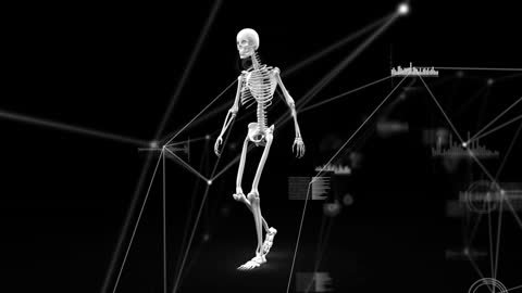 Futuristic Skeleton Model with Digital Interface Data Overlay