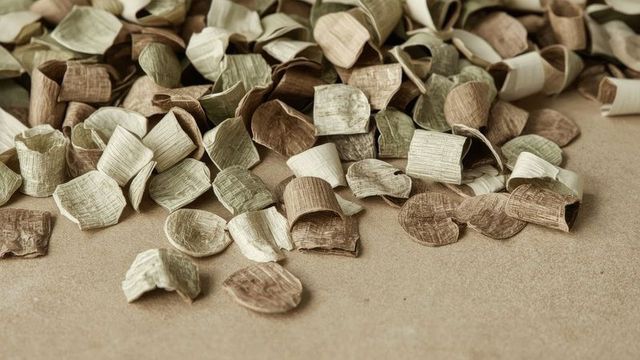 pile of dried, curled plant husks scattered across a flat tan tabletop surface, highlighting natural texture and organic material showcase. earthy tones and neutral colors evoke rustic and nature-inspired decor, ideal for sustainable designs. great use for eco-friendly products, natural craft ideas, and decor inspirations relating to rustic or organic lifestyles.