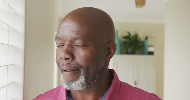 Older Man in Pink Shirt Relaxing by Sunlit Window at Home - Download Free Stock Images Pikwizard.com