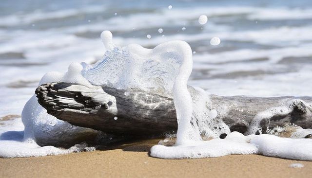Bleached driftwood lying on sandy shore with sea foam splashing and waves retreating