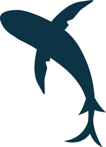 Minimalist dark blue shark silhouette on transparent background