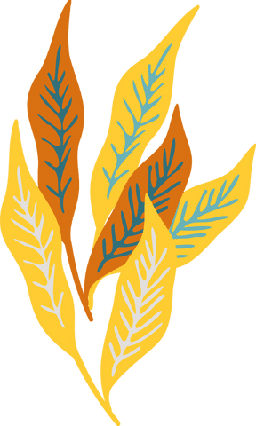 stylized yellow and orange leaves on transparent background - Download Free Stock Videos Pikwizard.com