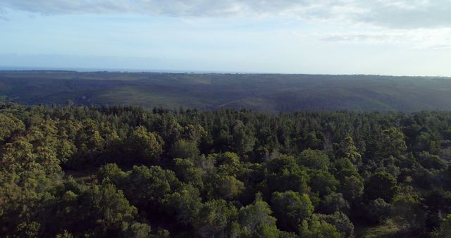 Aerial view showcasing a vast forest with dense tree coverage, extending towards rolling hills and a distant horizon under a partly cloudy sky. This can be used for themes related to nature, conservation, the outdoors, tourism, and rural environments.
