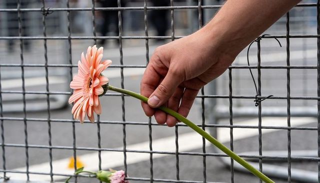 Extending hand offering pale pink gerbera through wire grid fence evoking solidarity