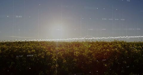 Digitally Enhanced Agricultural Landscape at Sunrise