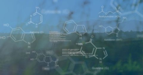 Chemical Structures and Codes Overlying Sunset Field - Download Free Stock Images Pikwizard.com