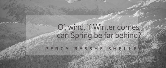 Ideal for motivational posters, desktop backgrounds, social media posts about hope and change, nature-themed cards, or inspirational blogs. The serene snowy landscape combined with the quote about the inevitability of spring after winter evokes optimism and resilience.