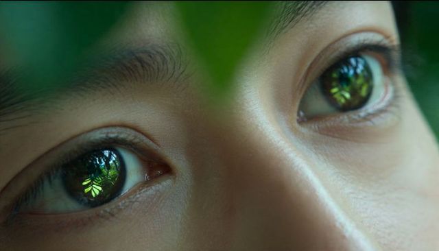 Close-up eyes reflecting lush leaves, human gaze merging with green canopy