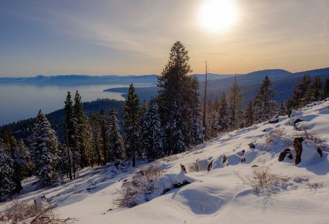 Serene Winter Landscape with Snow-Covered Forest and Mountains at Sunset - Download Free Stock Photos Pikwizard.com