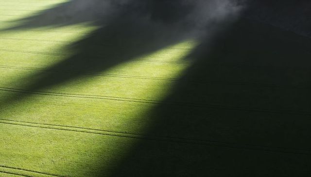 Green crop field with diagonal tractor tracks and clouds casting long shadows from above