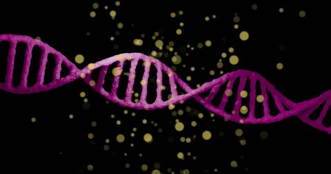 purple dna strand amidst glowing particles on black background - Download Free Stock Images Pikwizard.com