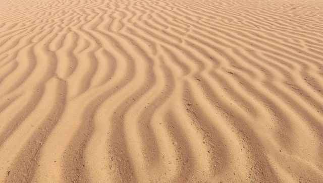 Wind-carved sand ripples creating rhythmic patterns on warm beige dune field texture