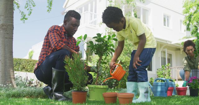 Father and Son Gardening Together in Backyard on Sunny Day - Download Free Stock Images Pikwizard.com