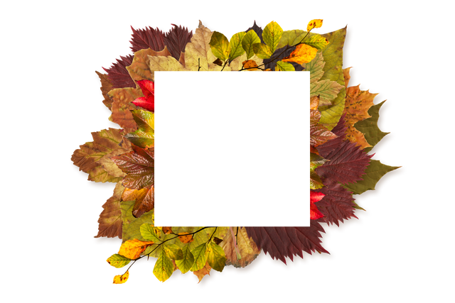 Transparent frame decorated with colorful autumn leaves - Download Free Stock Videos Pikwizard.com