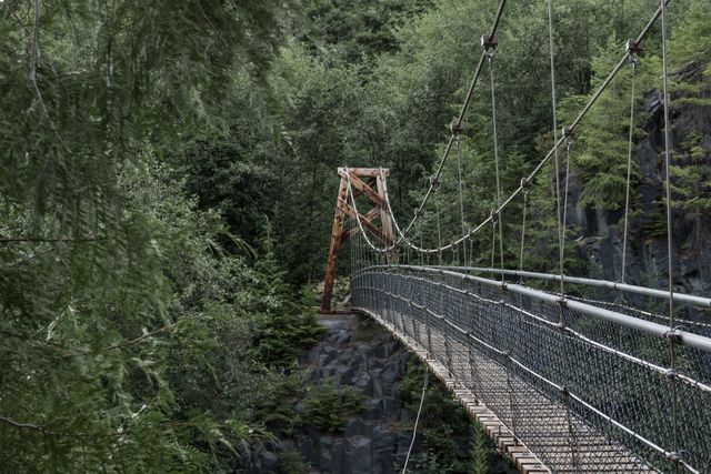 Suspension bridge providing access through a rich green forest. Capturing the essence of nature, ideal for themes on adventure, exploration, tranquility, and travel. Useful for illustrating outdoor activities like hiking and exploring nature trails.