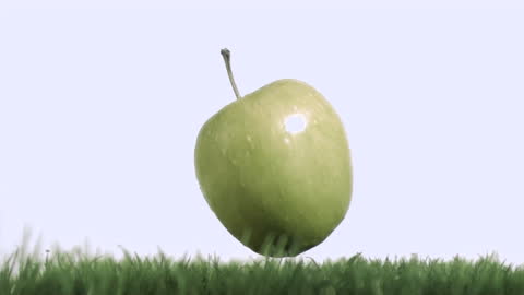Green Apple Slowly Sinking into Grass