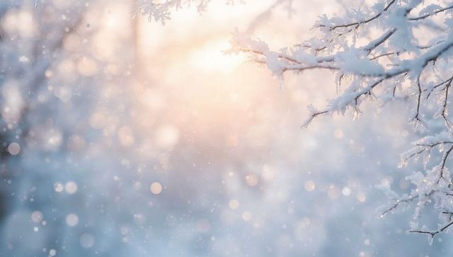 Sunlit frosted branches glistening with snowfall and soft bokeh winter sunrise