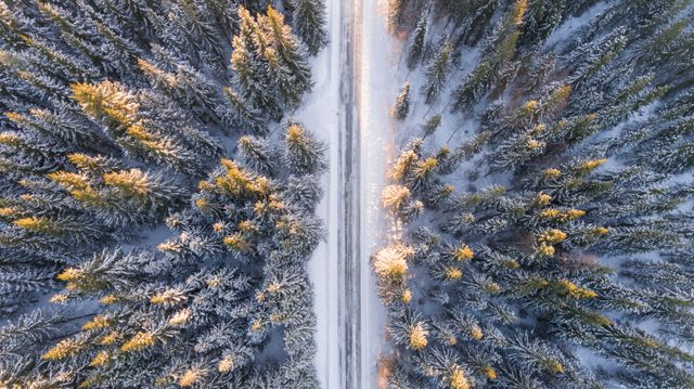 Snow-covered Road Through Snowy Pine Forest in Winter Aerial View - Download Free Stock Photos Pikwizard.com