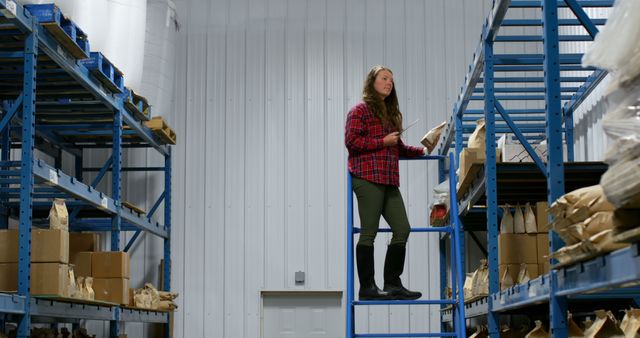 Woman Standing on Ladder Organizing Items in Warehouse - Download Free Stock Images Pikwizard.com