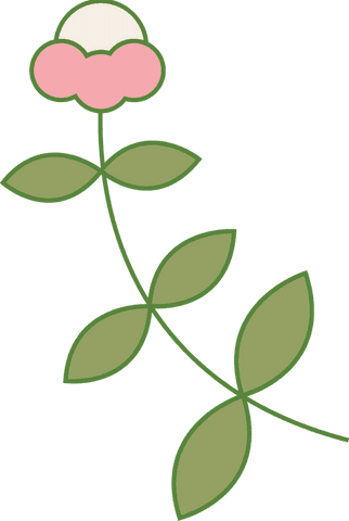 Minimalistic floral illustration with transparent background