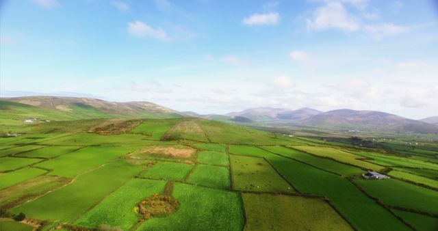 Aerial view of a lush, green rural landscape with patchwork fields and rolling hills under a blue sky with clouds. The scene captures the serene beauty of the countryside, ideal for illustrating themes of agriculture, nature, or rural life.