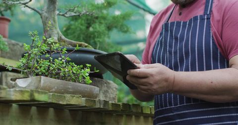 Gardener Using Digital Tablet in Bonsai Nursery
