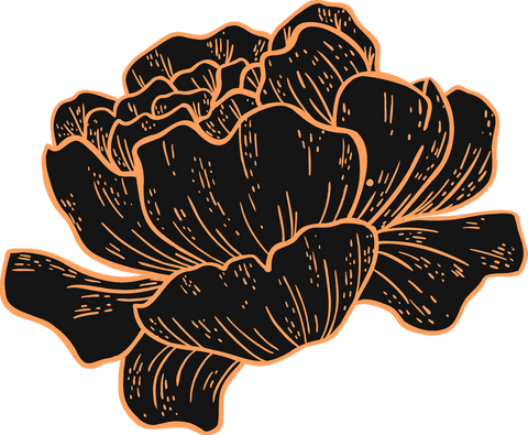 Ornate vector flower with transparent background