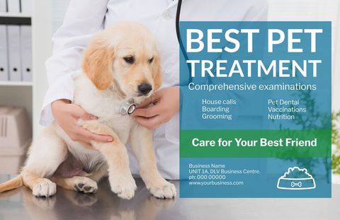 compassionate veterinarian caring for puppy in animal clinic - Download Free Stock Templates Pikwizard.com