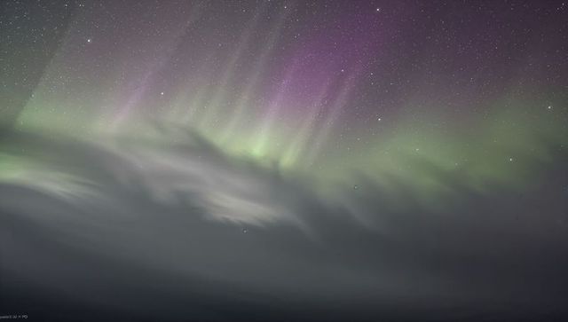 Aurora Borealis Curtains over Cloud Horizon, Purple and Green Vertical Rays with Starfield
