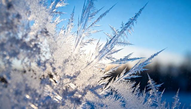 Backlit dendritic frost on windowpane with feathery ice crystals and winter macro