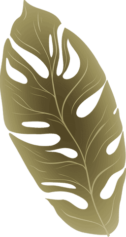 transparent gold monstera leaf on stylish background - Download Free Stock Videos Pikwizard.com