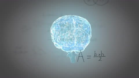 Rotating Brain with Math Formulas on Modern Grey Background