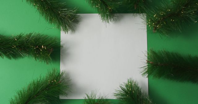 Blank white card with copy space framed with fir tree branches on green background. christmas, tradition and celebration concept image.
