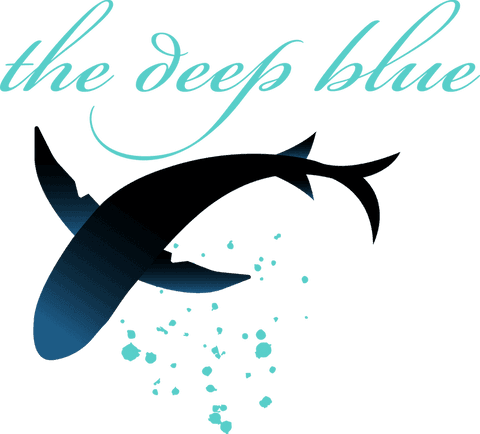 transparent turquoise marine logo with elegant script - Download Free Stock Videos Pikwizard.com