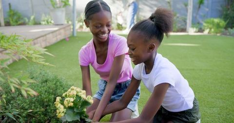 Sisters planting yellow flowers on backyard lawn, smiling and gardening together