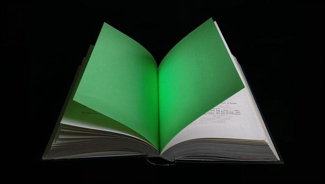 Open hardcover book displaying two bright green pages lifting into v-shape