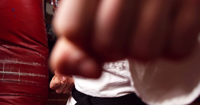 Martial Arts Fighter Punching towards Camera in Gym - Download Free Stock Images Pikwizard.com