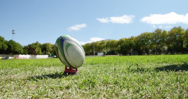 Rugby ball on tee ready for kickoff on green field under sunny sky - Download Free Stock Images Pikwizard.com